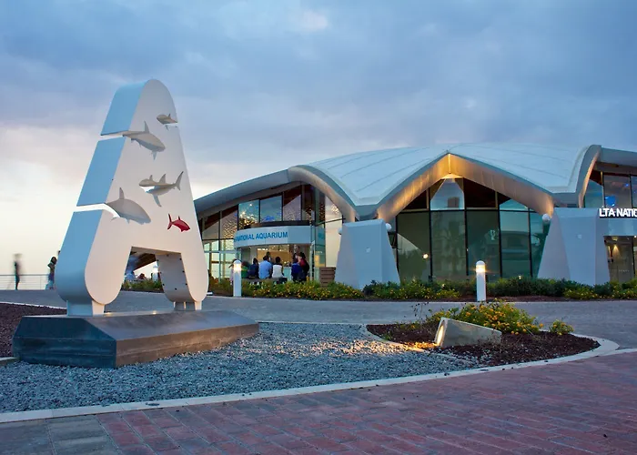 Lägenhet Seafront With Pool